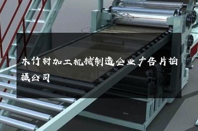 智造未來(lái)，共筑綠色家園——專業(yè)木竹材加工機(jī)械制造企業(yè)廣告片拍攝服務(wù)